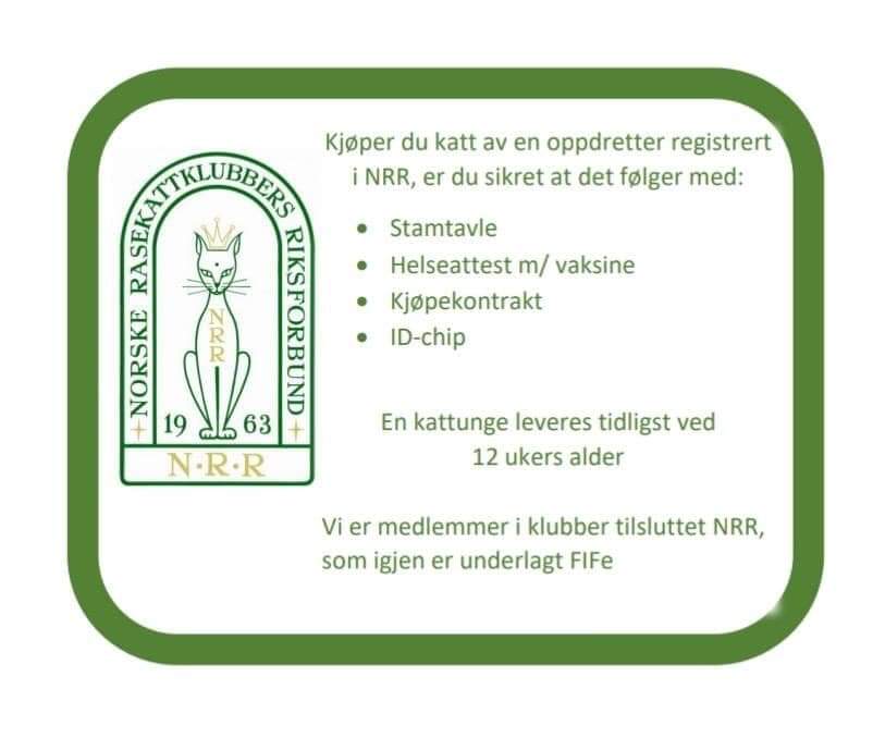 https://www.nrr.no/